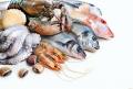 Рыба, ракообразные, моллюски оптом от ООО «Решение»
