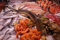 ООО «ИСТА» Торговля оптовая рыбой, ракообразными и моллюсками