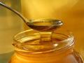 Качественный мед от производителя